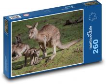 Kangur wschodni - młode, zwierzęta Puzzle 260 elementów - 41x28,7 cm