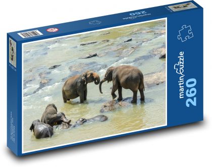 Sloni - Srí Lanka, zvíře - Puzzle 260 dílků, rozměr 41x28,7 cm