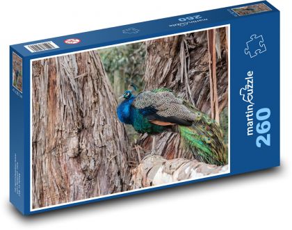 Peacock - bird, feathers - Puzzle 260 pieces, size 41x28.7 cm 