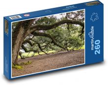 Virginia - żywy dąb. gałęzie drzew Puzzle 260 elementów - 41x28,7 cm