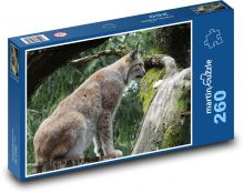 Rys - divoká kočka, zvíře Puzzle 260 - 41x28,7 cm