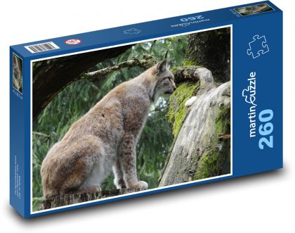 Ryś - żbik, zwierzę - Puzzle 260 elementów, rozmiar 41x28,7 cm