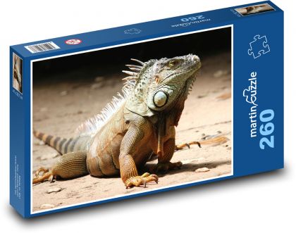 Leguán - plaz, jašterica - Puzzle 260 dielikov, rozmer 41x28,7 cm