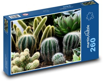 Kaktusy - pokojové rostliny, květiny - Puzzle 260 dílků, rozměr 41x28,7 cm