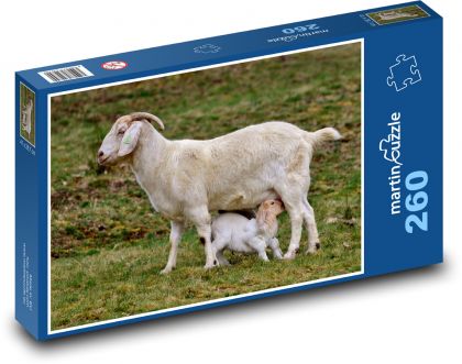 Koza - kozľa, mláďa - Puzzle 260 dielikov, rozmer 41x28,7 cm