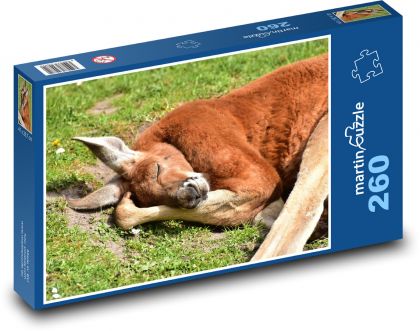 Kangur - torbacz, Australia - Puzzle 260 elementów, rozmiar 41x28,7 cm