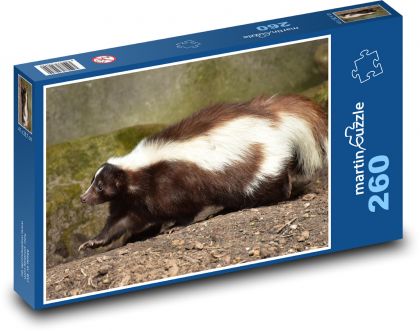 Skunk - animal, mammal - Puzzle 260 pieces, size 41x28.7 cm 