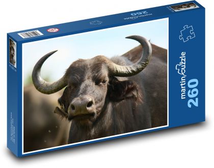 Büffel - Hörner, Rinder - Puzzle - 260 Teile