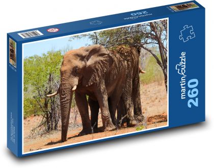 Slon africký - zviera, cicavec - Puzzle 260 dielikov, rozmer 41x28,7 cm