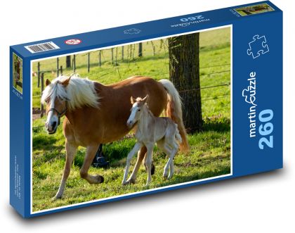 A mare - a foal, a horse - Puzzle 260 pieces, size 41x28.7 cm 
