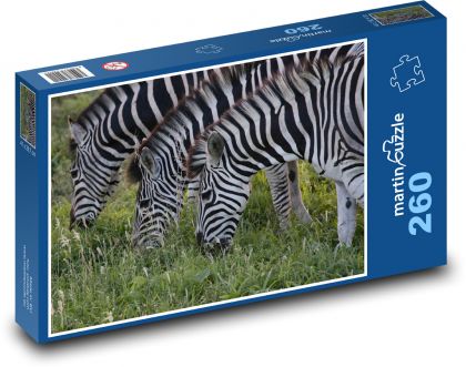 Zebra - zvíře, savec - Puzzle 260 dílků, rozměr 41x28,7 cm