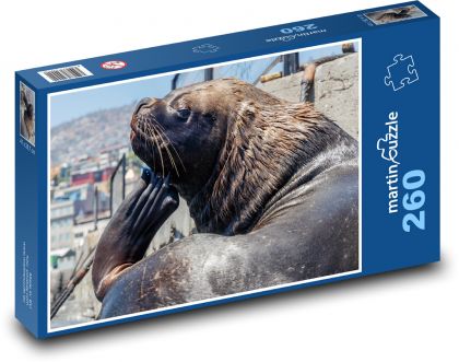 Sea lion - animal, sea creature - Puzzle 260 pieces, size 41x28.7 cm 