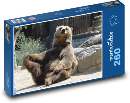 Niedźwiedź - zoo, zwierzę - Puzzle 260 elementów, rozmiar 41x28,7 cm