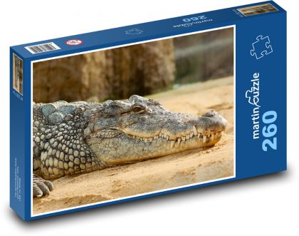 Krokodýl nýlský - zvíře, zoo - Puzzle 260 dílků, rozměr 41x28,7 cm