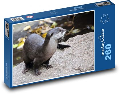 Otter - Tier, Säugetier - Puzzle - 260 Teile