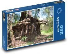 Stromy - korene, kôra Puzzle 260 dielikov - 41 x 28,7 cm 