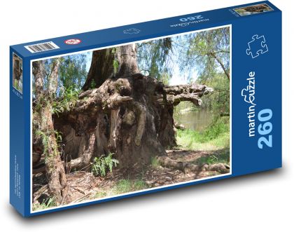 Stromy - korene, kôra - Puzzle 260 dielikov, rozmer 41x28,7 cm