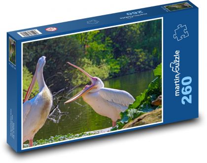 Pelikán - zobák, vodný vták - Puzzle 260 dielikov, rozmer 41x28,7 cm