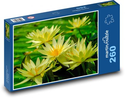 Żółta lilia wodna - oczko wodne, kwiat wodny - Puzzle 260 elementów, rozmiar 41x28,7 cm