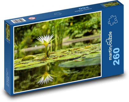 Weiße Seerose - Reflexion im Wasser, Teich - Puzzle - 260 Teile