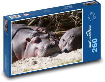 Hipopotam - zwierzę, ssak - Puzzle 260 elementów, rozmiar 41x28,7 cm