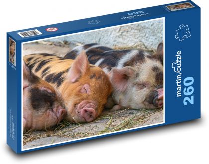 Ošípané - prasiatka, mláďatá - Puzzle 260 dielikov, rozmer 41x28,7 cm