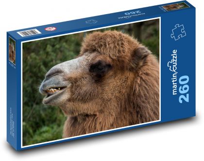 Ťava - zviera, zoo - Puzzle 260 dielikov, rozmer 41x28,7 cm