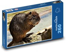 Nutria - zwierzę, szczur wodny Puzzle 260 elementów - 41x28,7 cm