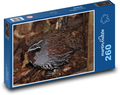 Prepelica - vták, zviera - Puzzle 260 dielikov, rozmer 41x28,7 cm