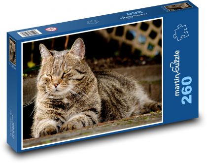 Kot domowy - zwierzę domowe, zwierzę - Puzzle 260 elementów, rozmiar 41x28,7 cm