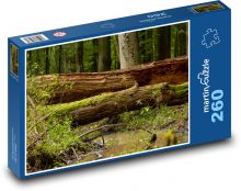 Les - potok, stromy Puzzle 260 dielikov - 41 x 28,7 cm 