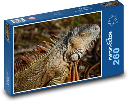Iguana - lizard, reptile - Puzzle 260 pieces, size 41x28.7 cm 