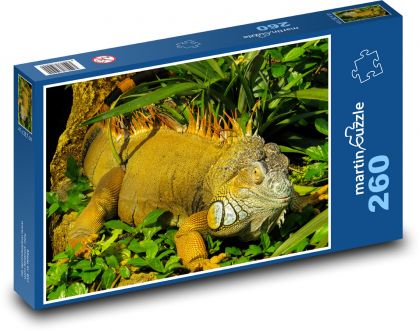 Leguan - Reptil, Tier - Puzzle - 260 Teile
