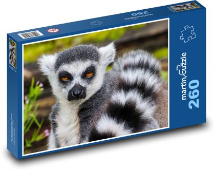 Lemur - opice, zoo - Puzzle 260 dílků, rozměr 41x28,7 cm