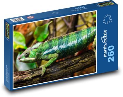 Chameleon - plaz, ještěrka - Puzzle 260 dílků, rozměr 41x28,7 cm