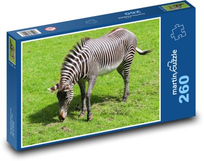 Zebra - Afrika, safari - Puzzle 260 dílků, rozměr 41x28,7 cm
