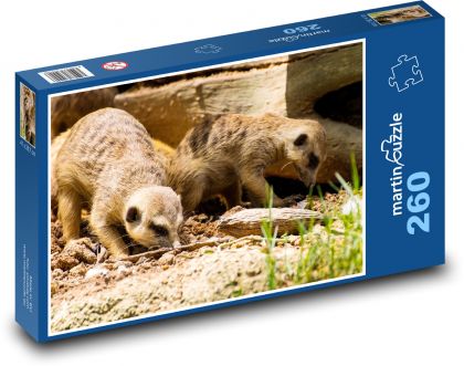 Surikata - zviera, Afrika - Puzzle 260 dielikov, rozmer 41x28,7 cm