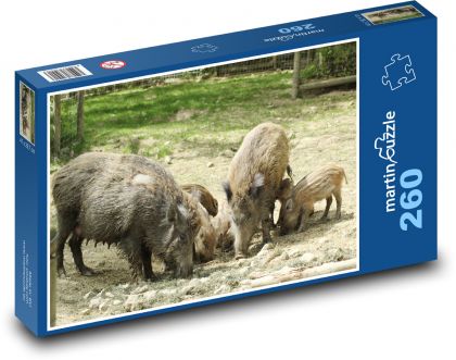 Wild boar - wild boar, guinea pig - Puzzle 260 pieces, size 41x28.7 cm 