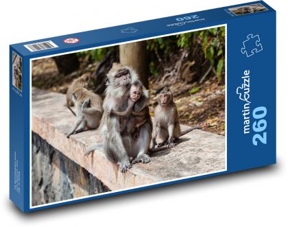 Macaque - monkey, cub - Puzzle 260 pieces, size 41x28.7 cm 