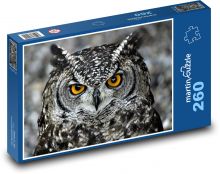 Sova - pták, zvíře Puzzle 260 dílků - 41 x 28,7 cm