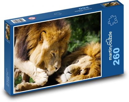 Lion - predator, big cat - Puzzle 260 pieces, size 41x28.7 cm 