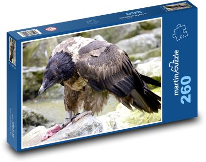Sup - dravý pták, zvíře - Puzzle 260 dílků, rozměr 41x28,7 cm