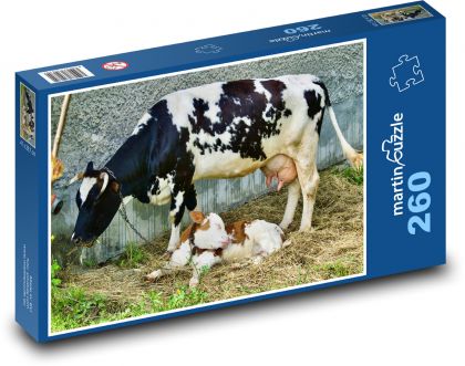 Kráva - tele, zvíře - Puzzle 260 dílků, rozměr 41x28,7 cm