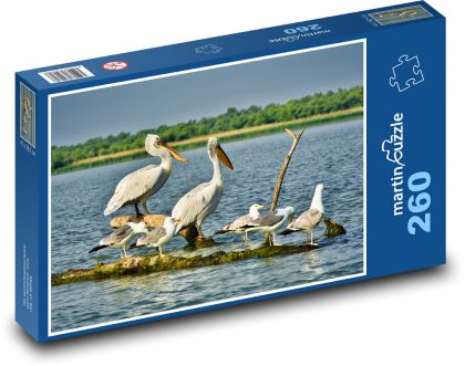 Pelikany - mewy, ptaki wodne - Puzzle 260 elementów, rozmiar 41x28,7 cm