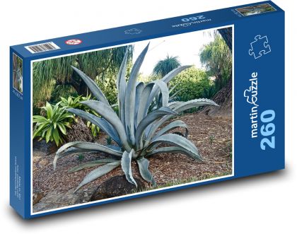 Rastlina - kaktus - Puzzle 260 dielikov, rozmer 41x28,7 cm