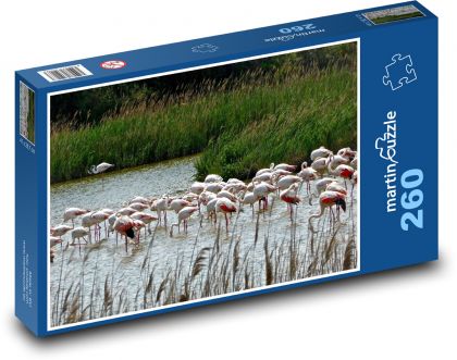 Ružoví plameniaky - jazero, vtáky - Puzzle 260 dielikov, rozmer 41x28,7 cm