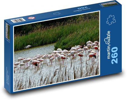 Pink flamingos - lake, birds - Puzzle 260 pieces, size 41x28.7 cm 