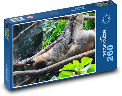 Sloth - climb, animal - Puzzle 260 pieces, size 41x28.7 cm 
