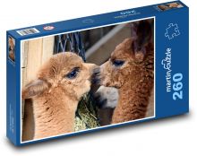 Alpaka - Tier, Säugetier Puzzle 260 Teile - 41 x28,7 cm