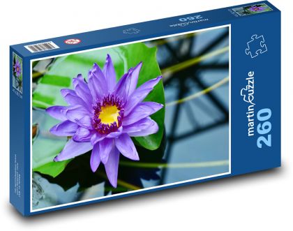 Fialový leknín - vodní rostlina, květ - Puzzle 260 dílků, rozměr 41x28,7 cm